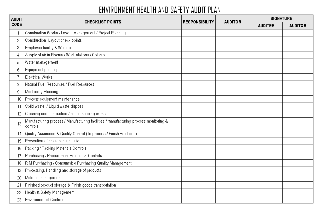 Environment Health And Safety Audit Plan