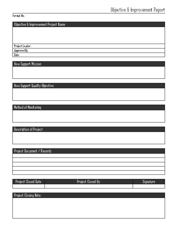 Objective & Project Improvement report