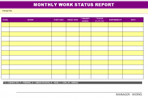 Monthly Work Status Report